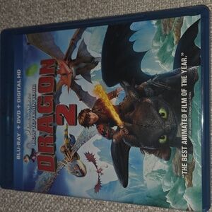 DVD and Blue Ray: How to Train Your Dragon 2